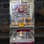 高速回転マグロ寿司を取ってみた#UFOキャッチャー #クレーンゲーム  #ゲームセンター #攻略 #shorts  #youtubeshorts