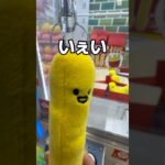 ちっちゃいポテト達を取ってみた#UFOキャッチャー #クレーンゲーム  #ゲームセンター #攻略 #shorts  #youtubeshorts