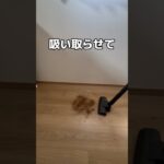 ゲームセンターの掃除機を使ってみた#UFOキャッチャー #クレーンゲーム  #ゲームセンター #攻略 #shorts  #youtubeshorts