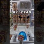 全部バウンドさせたら何個取れるのか#UFOキャッチャー #クレーンゲーム  #ゲームセンター #攻略 #shorts  #youtubeshorts