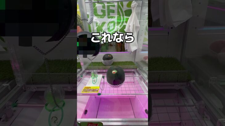 巨大なスイカを取ってみた#UFOキャッチャー #クレーンゲーム  #ゲームセンター #攻略 #shorts  #youtubeshorts
