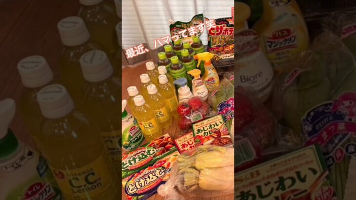 【UFOキャッチャー】今までほとんどやったことなくて最近やったらハマってしまった…#クレーンゲーム #ufoキャッチャー #景品 #ストレス発散