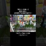 【ボタン式】レバー式じゃないけど狙い所はとらえる！やっぱりヒバニーはこの取り方！　#ポケモン#pokemon #ポケットモンスター #クレーンゲーム#ぬいぐるみ