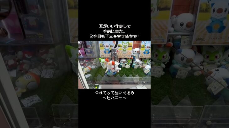 【ボタン式】レバー式じゃないけど狙い所はとらえる！やっぱりヒバニーはこの取り方！　#ポケモン#pokemon #ポケットモンスター #クレーンゲーム#ぬいぐるみ