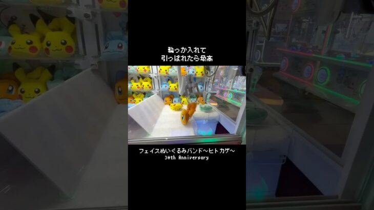【これイイネ】設定もタグも可愛さも素晴らしい！？　#ポケモン#pokemon #ポケットモンスター #クレーンゲーム#ぬいぐるみ