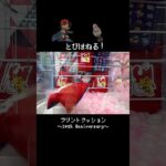 【とびはねる】３０周年クッションはバネブーで勝負だ！！　#ポケモン#pokemon #ポケットモンスター #クレーンゲーム#ぬいぐるみ