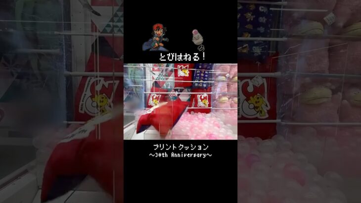 【とびはねる】３０周年クッションはバネブーで勝負だ！！　#ポケモン#pokemon #ポケットモンスター #クレーンゲーム#ぬいぐるみ