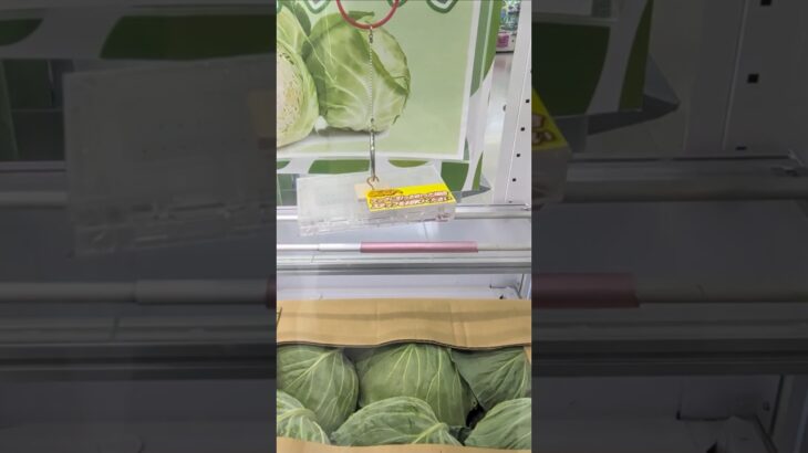 万代書店本庄店でキャベツの野菜の景品をゲット #shorts