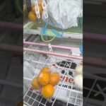 ベネクス川越店でオレンジときゅうりの景品をゲット #shorts