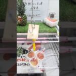 ベネクス川越店で桃や巨峰とパイナップルの果物の景品をゲット #shorts