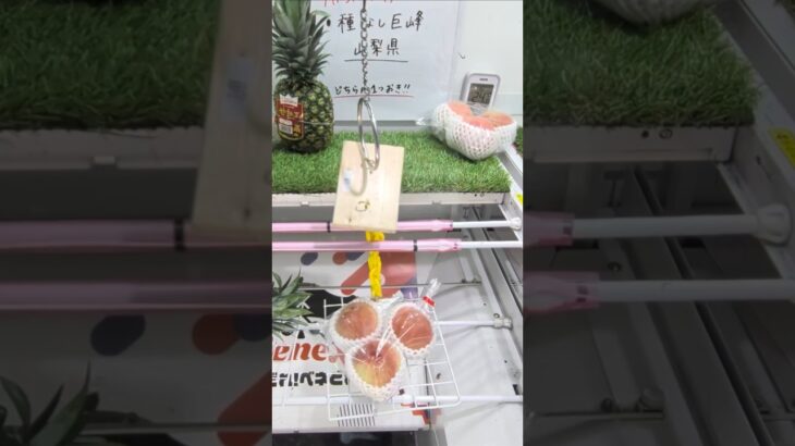 ベネクス川越店で桃や巨峰とパイナップルの果物の景品をゲット #shorts