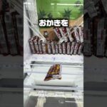 【クレゲー裏技】ラウワンの「とれすぎーのアイランド」で乱獲してみた！ #クレーンゲーム #shorts