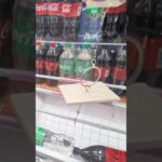 ツカモーヨ磯子店でスプライトとコーラの景品をゲット #shorts