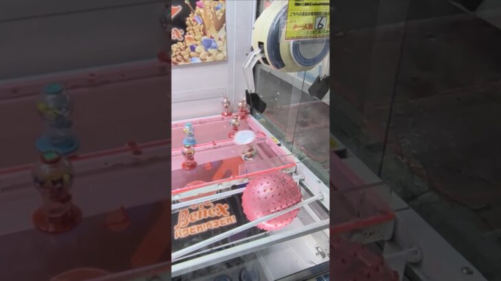ベネクス川越店でクロミちゃんのガムの景品をゲット #shorts
