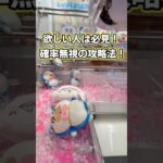 確率無視!? メロとタビの最新プライズ攻略！ #まめきちまめこ #クレーンゲーム #shorts