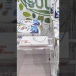 万代書店本庄店でトイレットペーパーとウェットティッシュの景品をゲット #shorts