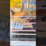 ベネクス川越店でラッシーとネクターの景品をゲット #shorts
