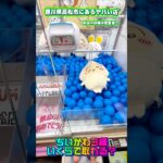 【超穴場 】香川県にある神ゲーセンのぬいぐるみが異次元レベルで取れすぎた… #shorts #クレーンゲーム #ufoキャッチャー #フィギュア #お菓子 #ぬいぐるみ #ゲームセンター #ちいかわ