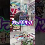 フックも設定次第で取れやすい！？#shorts #クレーンゲーム #ufoキャッチャー