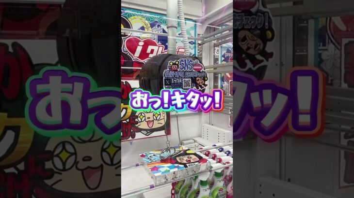 フックも設定次第で取れやすい！？#shorts #クレーンゲーム #ufoキャッチャー