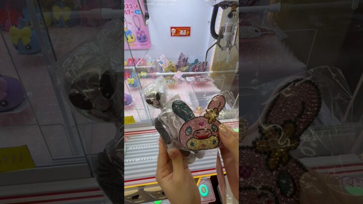 この２つの景品を取ろうとしたら… #クレーンゲーム #ufoキャッチャー #サンリオ #ゲームセンター