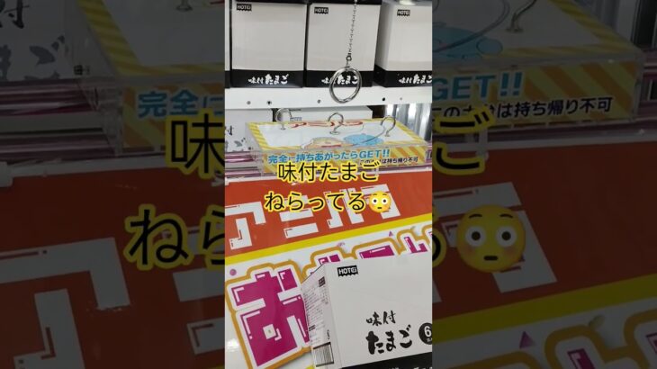 味付たまご好きすぎてほしい！ #クレーンゲーム #アミューズメント限定 #ゲームセンター #クレーンゲーム攻略 #ufoキャッチャー #ゲーセン