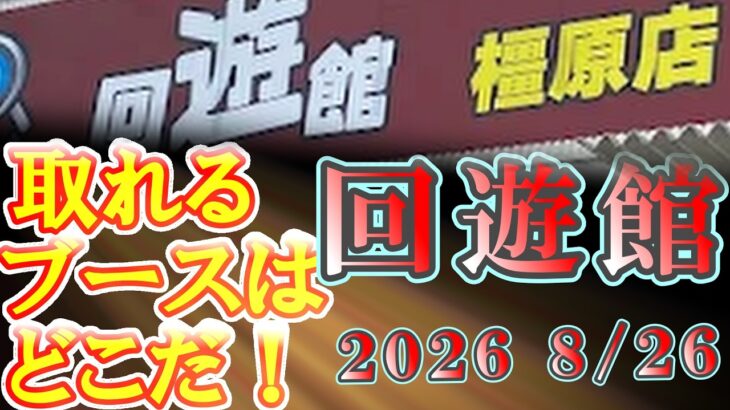 「クレーンゲーム」回遊館「橿原店」現在の設定は？　#クレーンゲーム #プライズ #ufoキャッチャー #ゲームセンター
