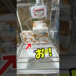 クレーンゲームでパン攻略してみた。 #万代書店川越店 #景品 #ufoキャッチャー  #倉庫系 #ゲームセンター #橋渡し