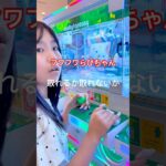 取れるか取れないか😭 #クレーンゲーム #攻略 #ufoキャッチャー #ゲームセンター #フワフワらびちゃん #ショート #おすすめ