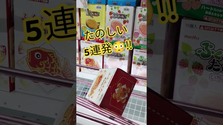 これは取れる？！ #ゲームセンター #アミューズメント限定 #クレーンゲーム #クレーンゲーム攻略 #ufoキャッチャー #ゲーセン