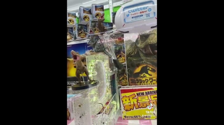 店員さんに嫌われる取り方#ゲームセンター #クレーンゲーム #ufoキャッチャー #出禁 #裏技