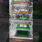 【クレーンゲーム】岸和田の新店舗で限定マグカップ取ってみた #クレーンゲーム #ゲームセンター #ゲーセン #ufoキャッチャー #クレゲ #岸和田
