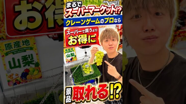 【衝撃】スーパーで買うよりお得に景品を取ることができるのか検証してみたら、、、#クレーンゲーム #ufoキャッチャー #遊べるスーパー万代 #万代仙台南店 #万代
