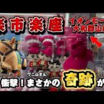 「【衝撃】クレーンゲームでまさかの奇跡…こんなこと本当にある！？#楽市楽座 #クレーンゲーム #ufoキャッチャー #クレヨンしんちゃん #ワニ山さん #サラブレッドコレクション #グランアレグリア