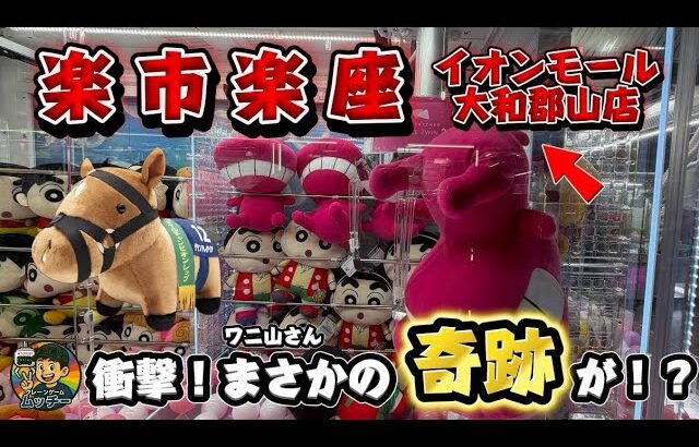 「【衝撃】クレーンゲームでまさかの奇跡…こんなこと本当にある！？#楽市楽座 #クレーンゲーム #ufoキャッチャー #クレヨンしんちゃん #ワニ山さん #サラブレッドコレクション #グランアレグリア