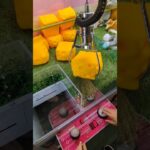 【クレーンゲーム】ふわふわもちもちのスクイーズ!?触ってみたい🤩#クレーンゲーム #ゲームセンター #ゲーセン #ufoキャッチャー #スクイーズ #チーズ #ふわふわ #もちもち #気になる