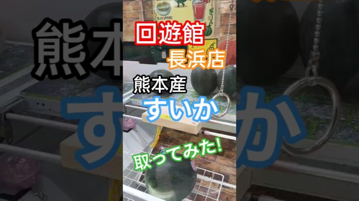 クレーンゲーム 回遊館 長浜店 熊本産すいか 取ってみた！ #クレーンゲーム #フック #ufoキャッチャー  #回遊館 長浜店#すいか #攻略
