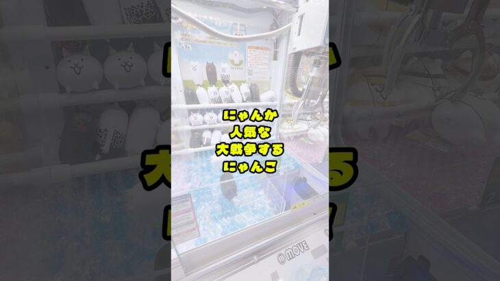 《 クレーンゲーム 》にゃんか人気なキャラを取ろうとしたら…？《 #ufoキャッチャー #にゃんこ大戦争 #ぬいぐるみ #攻略 》
