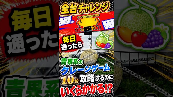 ゲーセンに毎日通う人はこうなります#クレーンゲーム #ufoキャッチャー #遊べるスーパー万代 #万代仙台南店 #万代