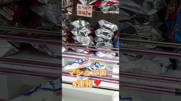 マシュマロ取るよ😍 #ゲームセンター #アミューズメント限定 #クレーンゲーム #クレーンゲーム攻略 #ufoキャッチャー