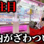 【クレーンゲーム】某店舗で人気景品を取ろうとしたら衝撃の結末に…【ufoキャッチャー】