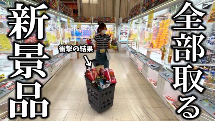 【クレーンゲーム】どうなる⁉︎人気景品を取ろうとしたら壮絶すぎたので赤裸々にお見せします…【ufoキャッチャー】