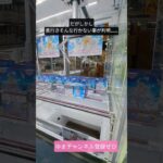 【クレーンゲーム】え！？奥行き奥まで行かない？！ハラハラドキドキ攻略の巻 #クレーンゲーム #プライズ獲得 #クレーンゲーム攻略 #ゲームセンター #ufoキャッチャー