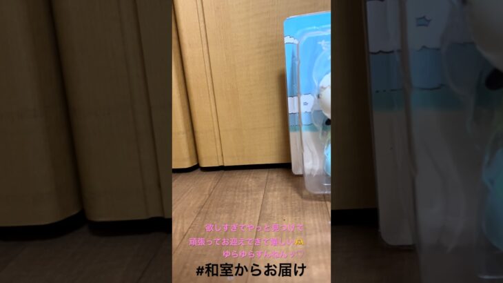 【📍タイトーステーション】#ufoキャッチャー #クレーンゲーム景品 #クレーンゲーム動画 #クレーンゲーム#GET品#クレーンゲーム攻略#夾娃娃店#和室からお届け#ちいかわ