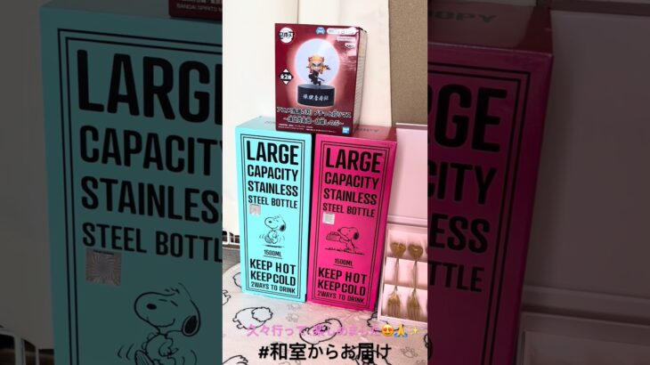 【📍清水屋】#ufoキャッチャー #クレーンゲーム景品 #クレーンゲーム動画 #クレーンゲーム#GET品#クレーンゲーム攻略#夾娃娃店#和室からお届け#清水屋