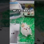 ちいかわの景品を取りたい!!これ試してみて! #クレーンゲーム #ufoキャッチャー #ちいかわ　#ROUND1　#アミパラ