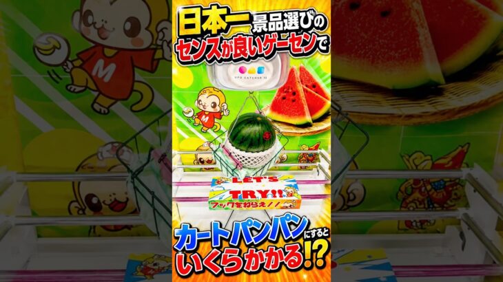景品選びのセンスが良すぎるゲーセンでカートパンパンするのに一体いくらかかるのか、、、#クレーンゲーム #ufoキャッチャー # ゲーセン #ゲームセンター #arcade
