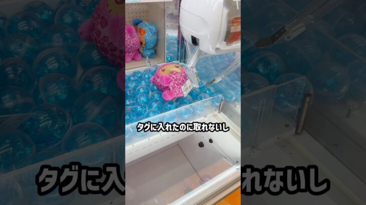 これがクレゲで一番悔しい瞬間#クレーンゲーム #ufoキャッチャー # ゲーセン #ゲームセンター #arcade
