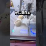 【ちいかわ】タグを連続で入れていくと…！！！チャンネル登録もお願いします！ #クレーンゲーム #ufoキャッチャー #ゲームセンター #ゲーセン #ちいかわ #chiikawa #クレゲ #攻略