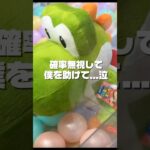 【ぬいぐるみ攻略】ぬいぐるみの確率無視ってちゃんとやり方わかってますか？ #クレーンゲーム #ゲームセンター #ufoキャッチャー #clawmachine #ヨッシー